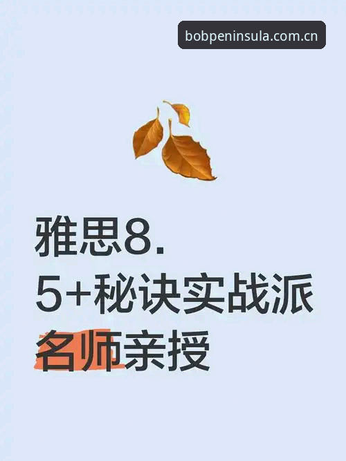 bob半岛平台下载评测深度分析：从实战角度解析正版入口与使用体验